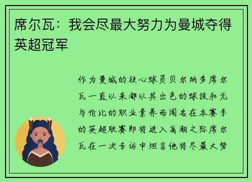 席尔瓦：我会尽最大努力为曼城夺得英超冠军